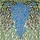 Forget-Me-Not Flowers Tiffany Stained Glass - Glowing Jewel Tone Intricate Floral Art Stained Glass Suncatcher - 5