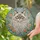 Majestic Ragdoll Cat Stained Glass Blue Eyes Cream Brown Fur - Tiffany Style Floral Mosaic Art Stained Glass Suncatcher - 2