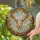 Majestic Barn Owl In Flight Stained Glass Dappled Sunlight Intricate Foliage Mosaic Stained Glass Suncatcher - 2