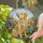 Golden Retriever Dog Stained Glass Art with Butterfly - Tiffany Jewel Tones Meadow Flowers Sky Stained Glass Suncatcher - 2