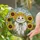 Sweet Fluffy Cat Sunflower Bonnet Stained Glass Art - Vibrant Sunflowers Home Decor Stained Glass Suncatcher - 2