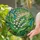 White Lily of the Valley Stained Glass Art Emerald Green Leaves Forest Garden Tiffany Stained Glass Suncatcher - 2