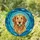 Intricate Golden Retriever Dog Green Ball Stained Glass Tiffany Mosaic Art - Dog Lover Gift Stained Glass Suncatcher - 1
