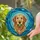 Intricate Golden Retriever Dog Green Ball Stained Glass Tiffany Mosaic Art - Dog Lover Gift Stained Glass Suncatcher - 2