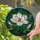 Magnolia Flower Stained Glass Window Art - Intricate Tiffany Jewel Tone Botanical Decor Gift Stained Glass Suncatcher - 2