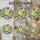 Cheerful Yellow Canary Finch Tiffany Stained Glass Art with Red Berries, Green Leaves Stained Glass Suncatcher - 4