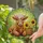 duiyfppz/products/69fb2064d030850f62a13a8e/gallery/j1pQSjfOos