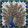 duiyfppz/products/69fb488eb5b16bda4b0364ff/gallery/k5nMNhcnie