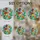 duiyfppz/products/69fb4a88f56d409e2387e278/gallery/GxvHYu2XxT