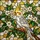 duiyfppz/products/69fb4db79cd59df3b05e6dda/gallery/JC0JGssd78