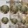 duiyfppz/products/69fb4f36f56d40496787eed2/gallery/rb48ZrNH4A