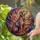 Radiant Sitting Dog Stained Glass Mosaic - Geometric Tiffany Art with Glowing Jewel Tones Stained Glass Suncatcher - 2