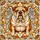 duiyfppz/products/69fb5041f56d409bfb87f163/gallery/buBUVcg8ZC
