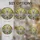 duiyfppz/products/69fb506e9cd59d20615e7550/gallery/Am5S7FeH70