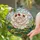 Stained Glass Multi-Petaled Flower Red Ladybugs Tiffany Mosaic Natural Jewel Tones Art Stained Glass Suncatcher - 2