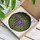 Tiffany Stained Glass Wisteria Flowers Cascading Vines Mosaic - Vibrant Window Art Stained Glass Suncatcher - 3