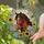 Brown Horse Head Sunflowers Hydrangeas - Home Decor Gift for Horse Lovers Stained Glass Suncatcher - 2