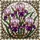 Iris Floral Mosaic Stained Glass Home Decor Gift for Flower Lover Stained Glass Suncatcher - 5