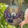 Dynamic Flying Pigeon Capitol Dome Avenue Sunset - Architectural Home Decor Gift Stained Glass Suncatcher - 2
