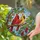 Male Female Cardinal Birds, Stained Glass Art, Green Leaves, Red Berries, Mosaic Sky Stained Glass Suncatcher - 2
