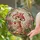 Baby Giraffe Mushroom Hat Strawberry - Tiffany Stained Glass Enchanted Forest Decor Gift Stained Glass Suncatcher - 2