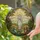 Female Figure Praying Children Wildflower Field - Tiffany Style Stained Glass Landscape Stained Glass Suncatcher - 2