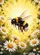 Bumblebee White Yellow Daisy Flowers - Nature Lover Home Decor Gift Garden Flag - 6