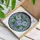 Classical Chinese Ginger Jar Cobalt White Peony Flowers Ornate Border - Home Decor Gift Stained Glass Suncatcher - 3