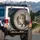 Inquisitive Tabby Cat with Golden Eyes - Cat Lover Gift Spare Tire Cover - 3