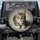 Inquisitive Tabby Cat with Golden Eyes - Cat Lover Gift Spare Tire Cover - 1