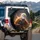 Bald Eagle Wing Feathers Swirls Embers Charcoal Field Wildlife Lover Gift Spare Tire Cover - 3