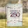 AMERICA 250 1776-2026 Stars - USA 250th Anniversary Independence Day Garden Flag - 1