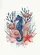 Seahorse Tropical Fish Starfish Coral Shell - Ocean Life Home Decor Gift Garden Flag - 6