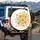 Yellow Calendula Dragonfly Wildflower - Wildlife Lover Gift Spare Tire Cover - 3