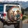 Cruising Pitbull Dogs Sunglasses Fedora Tie-Dye - Carefree Journey Road Trip Dog Lover Gift Spare Tire Cover - 3