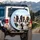 Expansive Sky Border Collies Dog Group - Pet Lover Gift for Dog Owners and Enthusiasts Spare Tire Cover - 3