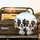 Expansive Sky Border Collies Dog Group - Pet Lover Gift for Dog Owners and Enthusiasts Spare Tire Cover - 2