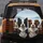 Expansive Sky Border Collies Dog Group - Pet Lover Gift for Dog Owners and Enthusiasts Spare Tire Cover - 5