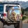 Joyful Golden Doodle Poodle Dogs In Car - Travel Enthusiast Pet Owner Gift Spare Tire Cover - 3