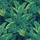 Lush Tropical Foliage Monstera Fan Palm Banana Leaves - Outdoor Lifestyle Gift Spare Tire Cover - 6