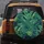 Lush Tropical Foliage Monstera Fan Palm Banana Leaves - Outdoor Lifestyle Gift Spare Tire Cover - 5