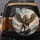 Majestic Winged Lion Golden Armor Royal Blue Sash Spare Tire Cover - 5
