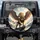 Majestic Winged Lion Golden Armor Royal Blue Sash Spare Tire Cover - 1
