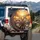 Four Grinning Cats Driving Sunglasses Road Trip Sunrise - Adventure Lover Gift Spare Tire Cover - 3