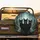 Three Black Cats Glowing Fireflies Shadowy Nocturnal Forest - Wildlife Lover Gift Spare Tire Cover - 2