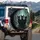 Three Black Cats Glowing Fireflies Shadowy Nocturnal Forest - Wildlife Lover Gift Spare Tire Cover - 3