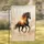 Double Exposure Galloping Horse Pine Forest Sunset - Home Decor Gift for Wildlife Lovers Garden Flag - 1