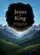Jesus Is King John 14:6 Mountain Scene - Faithful Home Decor Gift For Believers Garden Flag - 6