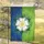 White Rose of York Heraldic Split Royal Blue Lime Green - Home Decor Gift Garden Flag - 5