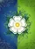 White Rose of York Heraldic Split Royal Blue Lime Green - Home Decor Gift Garden Flag - 6